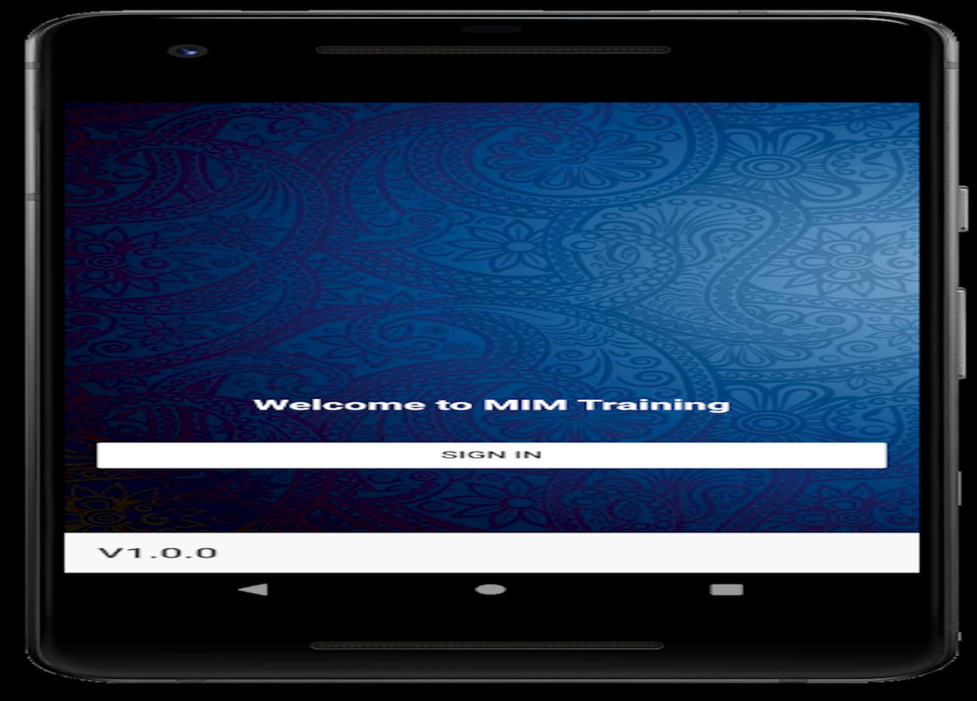 Landing template screenshot